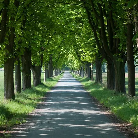 Jagdschloss Moenchbruch