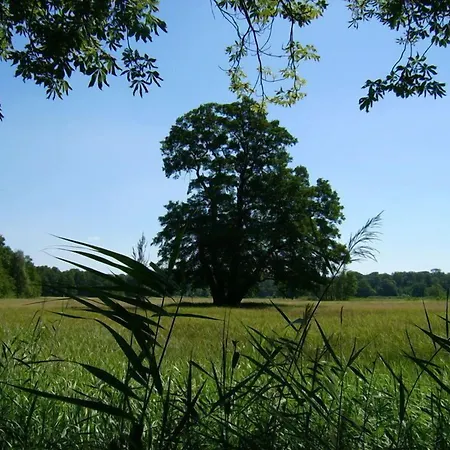 Otel Jagdschloss Moenchbruch 3*