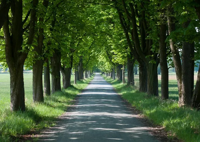 Jagdschloss Moenchbruch