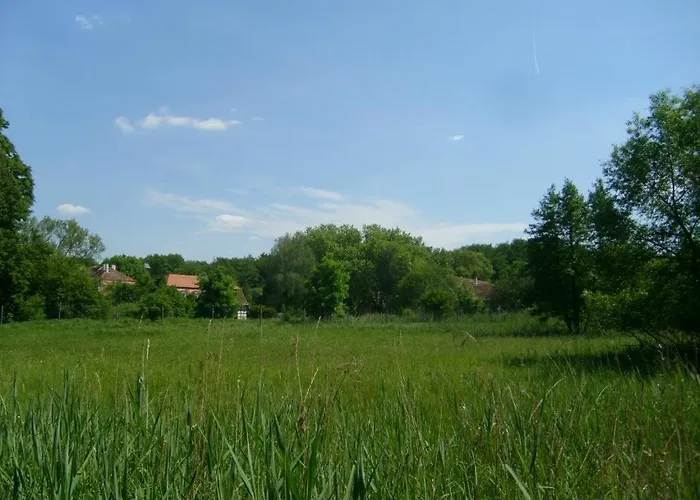 Jagdschloss Moenchbruch 호텔 모르펠덴발도르프