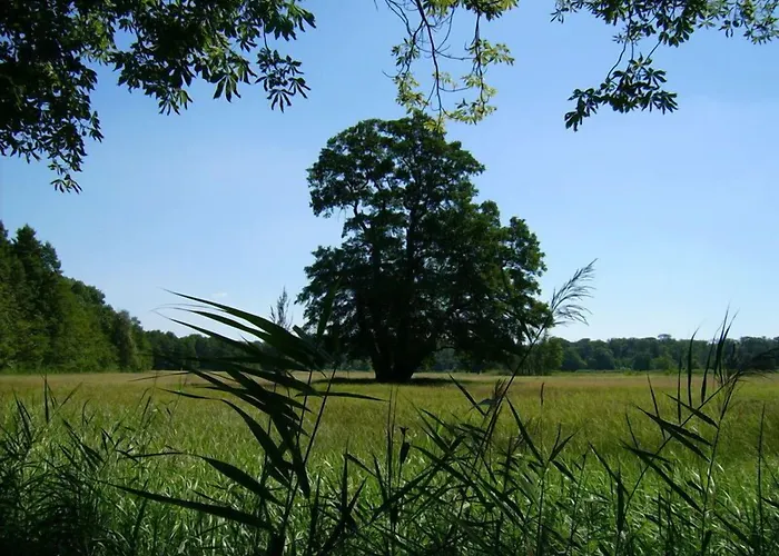 호텔 Jagdschloss Moenchbruch 3*